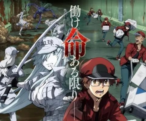 انمي Hataraku Saibou Black الحلقة 6